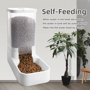 Gravity Pet Feeder & Water Dispenser Set